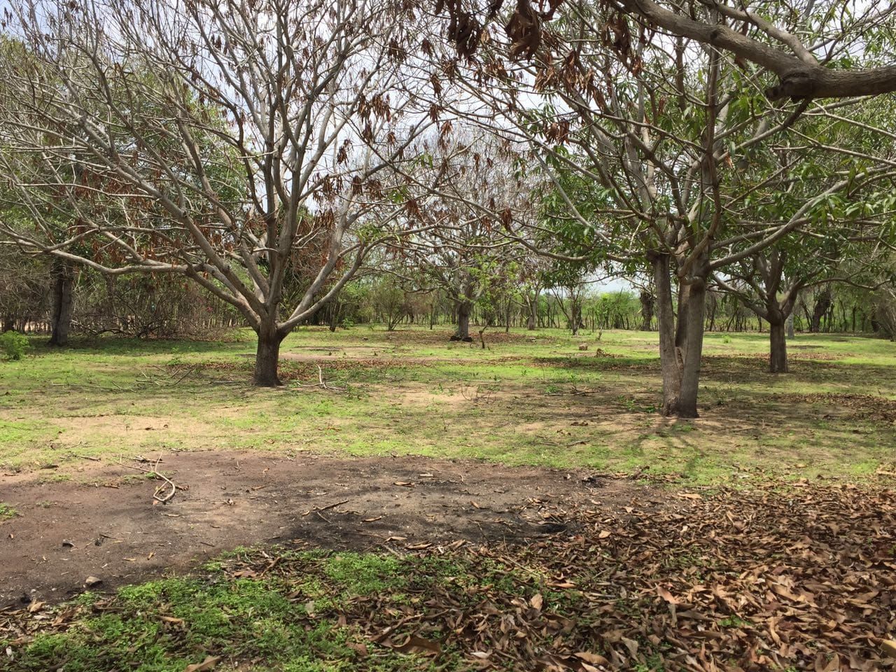 Lote Rural en venta Atlántico Malambo San Jorge 0 m2 Habitaciones 0 Baños 10 Garajes 1 Precio $80000000