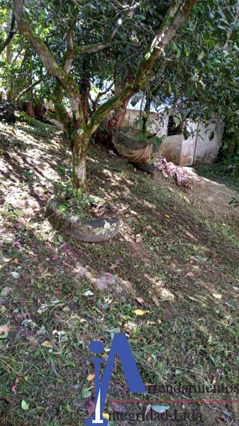 Finca en venta Antioquia San Jerónimo San Jerónimo 75 m2 Habitaciones 2 Baños 2 Garajes 0 Precio $300000000