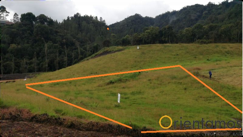 Lote en venta Antioquia Envigado La Mesa 1608 m2 Habitaciones 0 Baños 10 Garajes 1 Precio $786828000