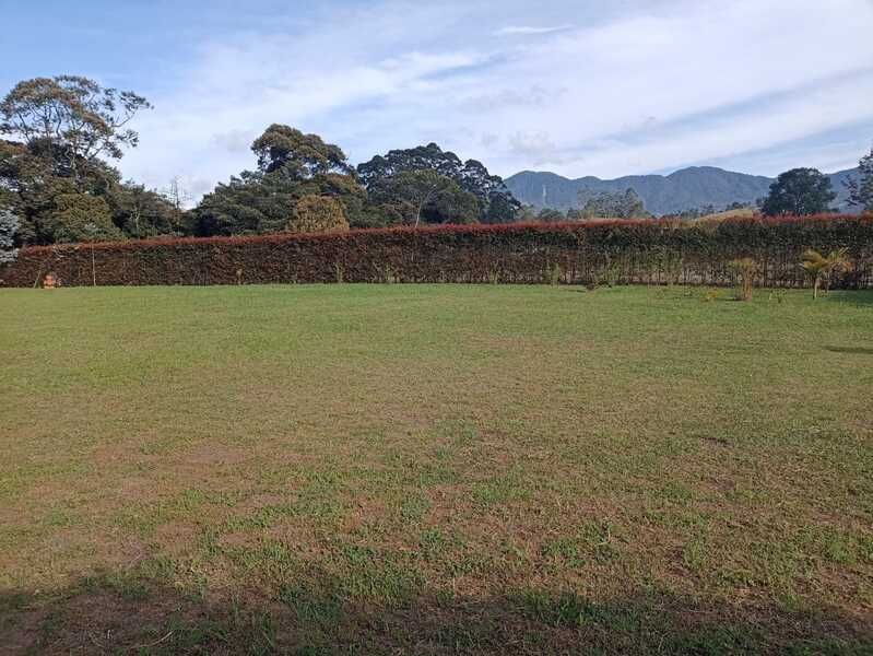 Local en venta Antioquia El Carmen De Viboral El Carmen De Viboral 3522 m2 Habitaciones 0 Baños 10 Garajes 1 Precio $1200000000