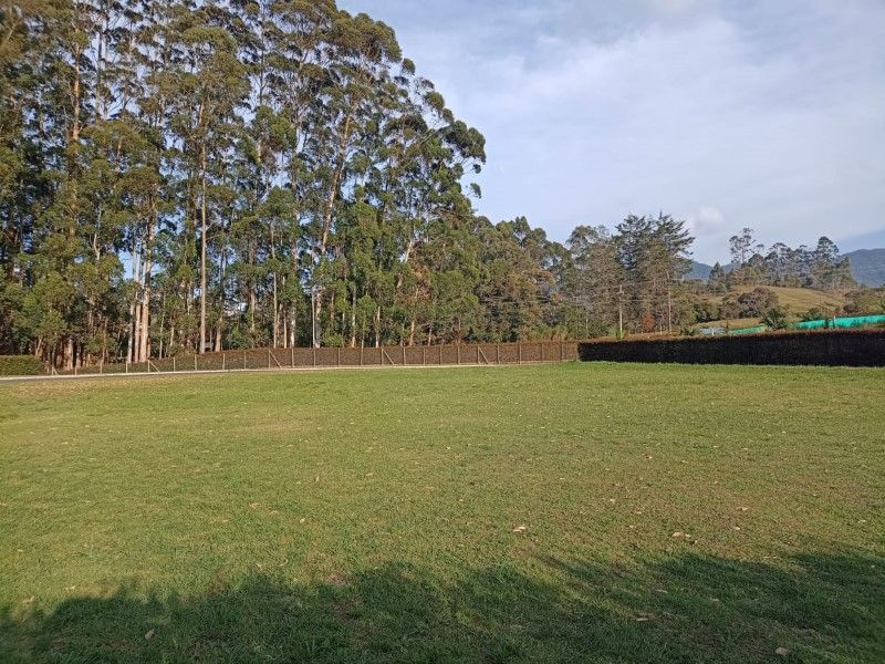 Local en venta Antioquia El Carmen De Viboral El Carmen De Viboral 2530 m2 Habitaciones 0 Baños 10 Garajes 1 Precio $750000000