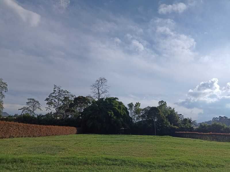 Local en venta Antioquia Abejorral Abejorral 2689 m2 Habitaciones 0 Baños 10 Garajes 1 Precio $800000000