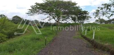 Lote en venta Valle Del Cauca Alcalá Otros 0 m2 Habitaciones 0 Baños 10 Garajes 1 Precio $196000000