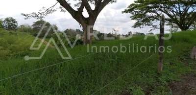 Lote en venta Valle Del Cauca Alcalá Otros 0 m2 Habitaciones 0 Baños 10 Garajes 1 Precio $225000000