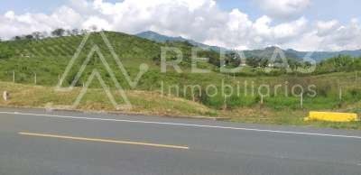 Lote en venta Risaralda Pereira Otros 200 m2 Habitaciones 0 Baños 10 Garajes 1 Precio $3990000000