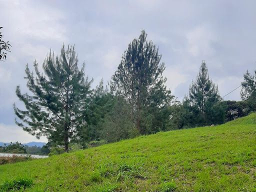 Lote en venta Antioquia El Retiro El Retiro 3580 m2 Habitaciones 0 Baños 0 Garajes 0 Precio $1150000000