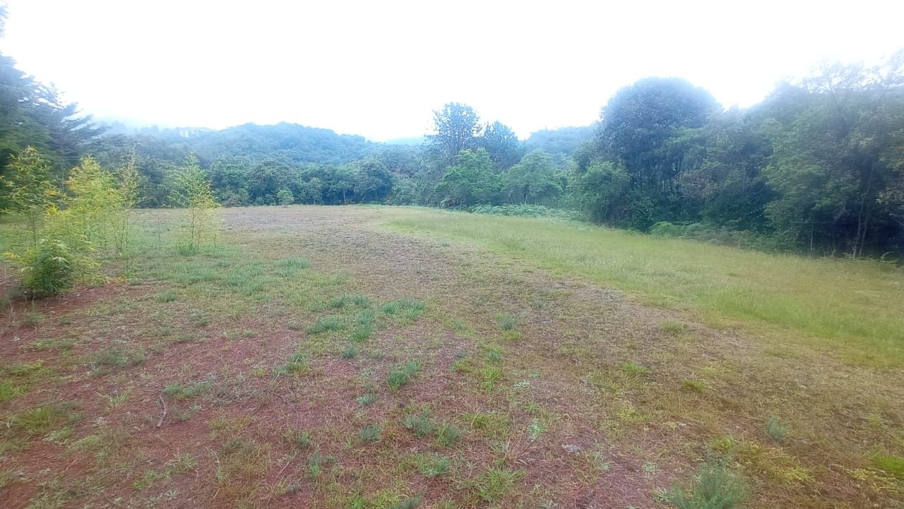 Lote en arriendo Antioquia Envigado Envigado 17000 m2 Habitaciones 0 Baños 0 Garajes 0 Precio $20000000