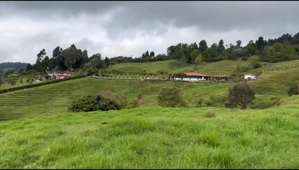 Lote en venta Antioquia Guarne Guarne 0 m2 Habitaciones 0 Baños 10 Garajes 1 Precio $185000000