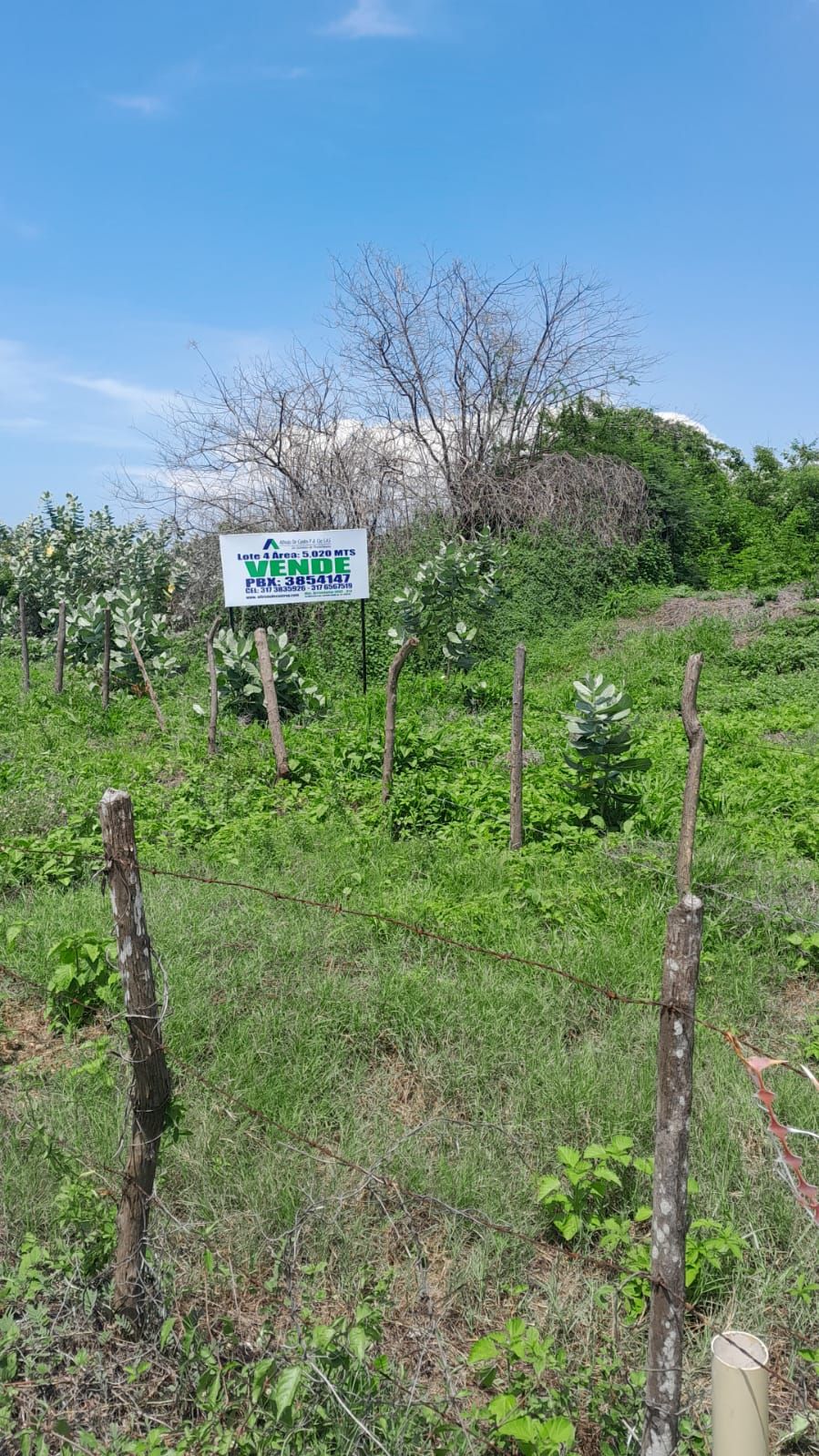 Lote en venta Atlántico Puerto Colombia San Carlos 0 m2 Habitaciones 0 Baños 10 Garajes 1 Precio $750000000