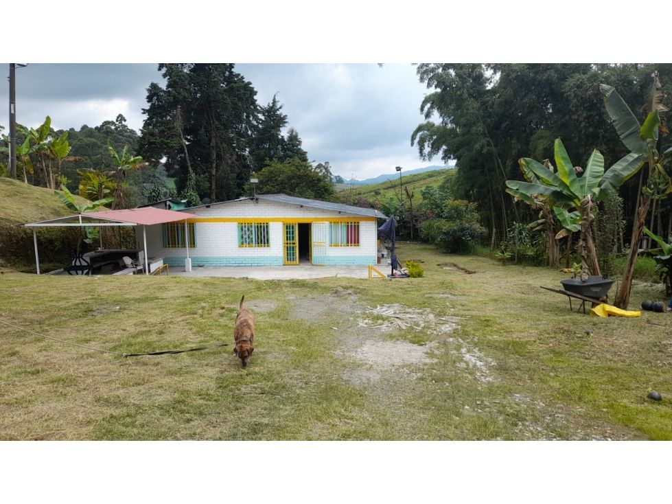 Casa Campestre en venta Risaralda Santa Rosa De Cabal Santa Rosa De Cabal 250 m2 Habitaciones 5 Baños 2 Garajes 5 Precio $550000000