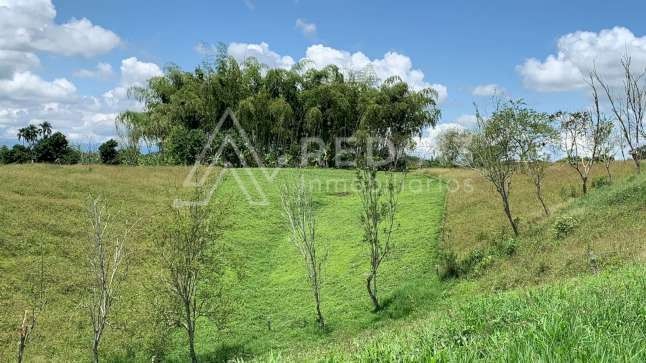 Lote en venta Valle Del Cauca Alcalá Alcala 1 m2 Habitaciones 0 Baños 10 Garajes 1 Precio $100000000