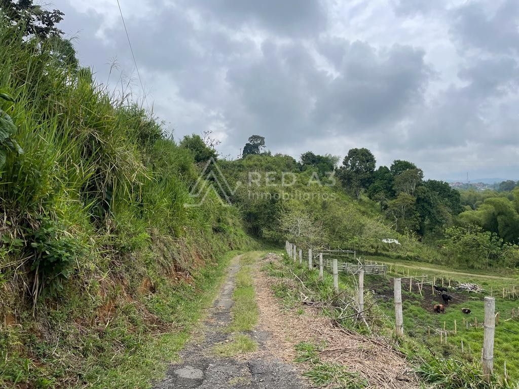 Lote en venta Quindío Quimbaya Quimbaya 0 m2 Habitaciones 0 Baños 10 Garajes 1 Precio $4720000000