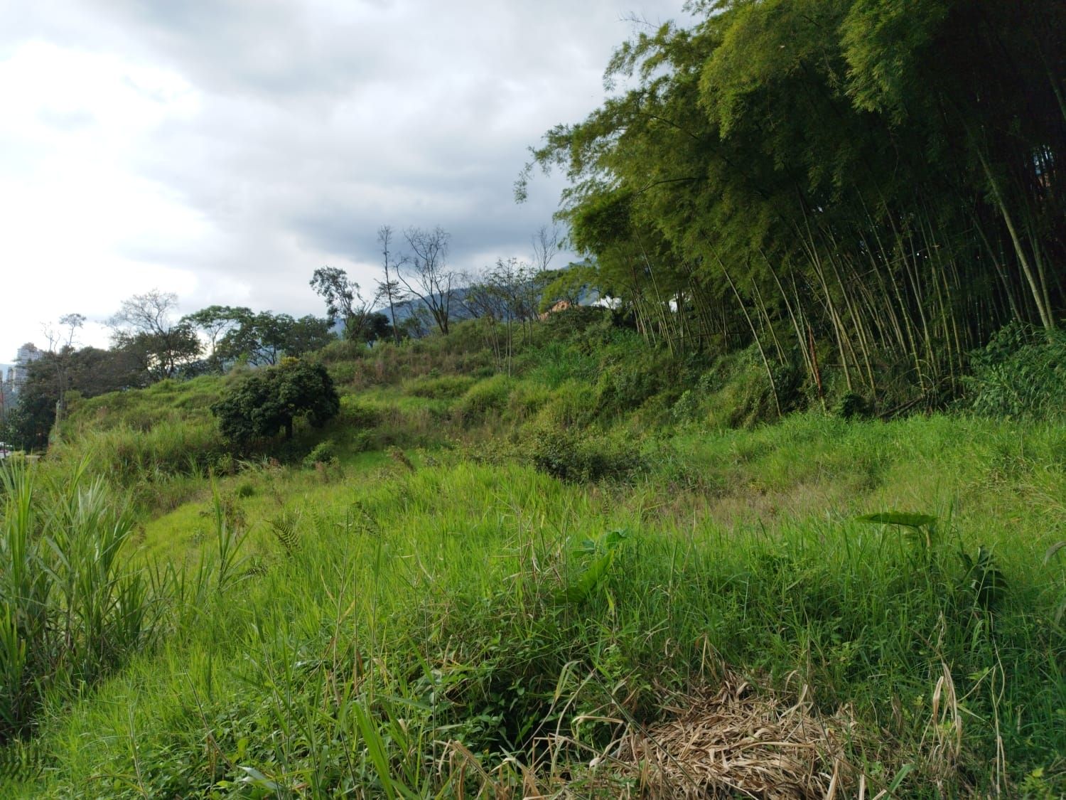 Lote en venta Antioquia Envigado Loma Del Atravesado 0 m2 Habitaciones 0 Baños 10 Garajes 1 Precio $4800000000