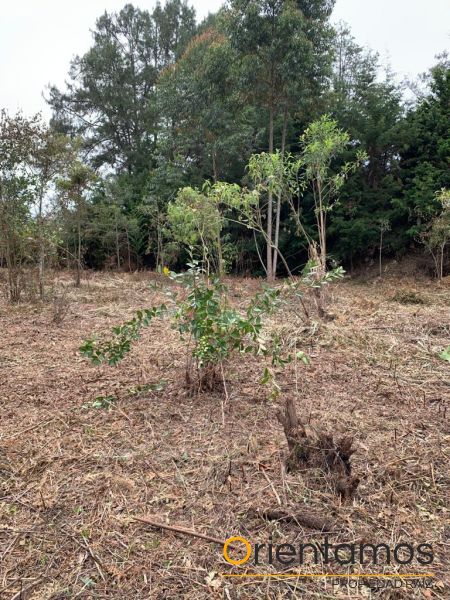 Lote en venta Antioquia Rionegro El Porvenir 9 m2 Habitaciones 0 Baños 0 Garajes 0 Precio $925800000