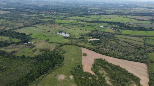 Lote en venta Huila Campoalegre Campoalegre 1 m2 Habitaciones 0 Baños 10 Garajes 1 Precio $2000000000