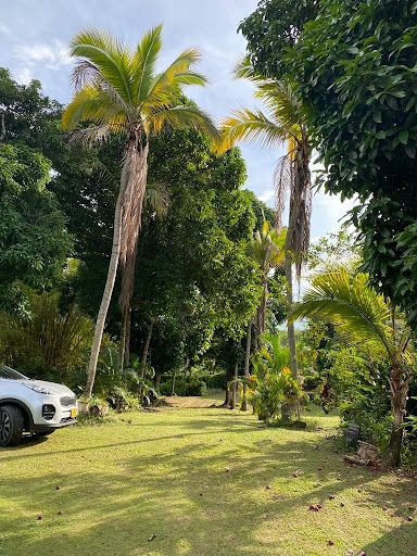 Finca en venta Huila Rivera Rivera 212 m2 Habitaciones 4 Baños 2 Garajes 1 Precio $900000000