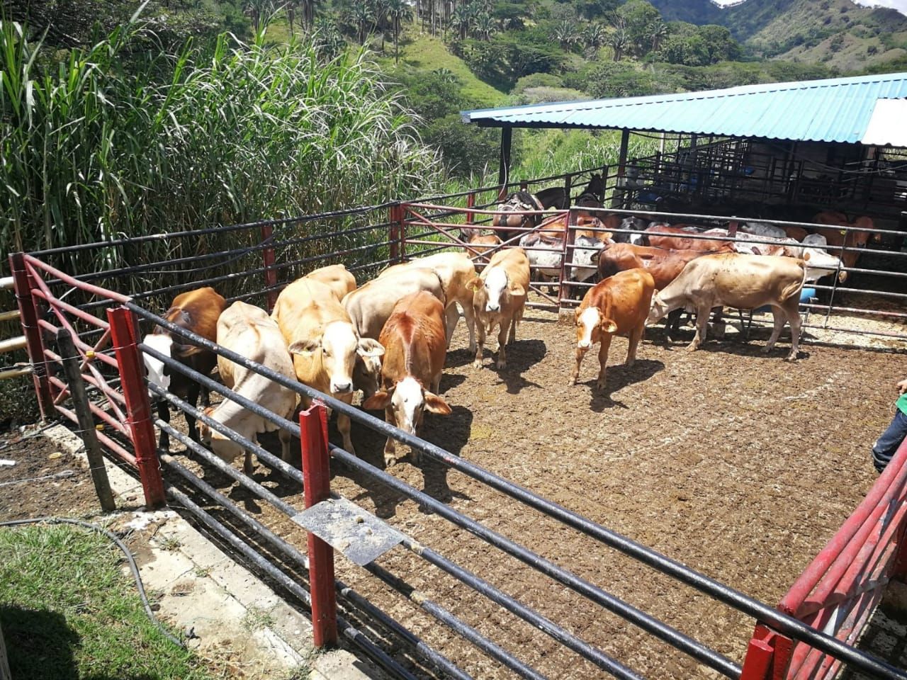 Finca en venta Valle Del Cauca Obando Obando 60000 m2 Habitaciones 3 Baños 4 Garajes 7 Precio $8330000000