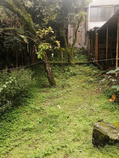 Casa en venta Risaralda Pereira Sector Lago Uribe 180 m2 Habitaciones 4 Baños 4 Garajes 1 Precio $505000000