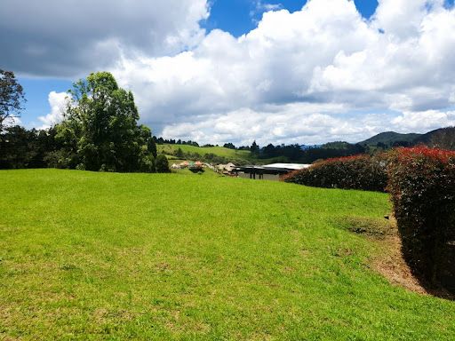 Lote en venta Antioquia Envigado Envigado 3648 m2 Habitaciones 0 Baños 10 Garajes 1 Precio $1450000000