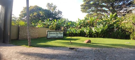 Lote en venta Huila Rivera Otros 1272 m2 Habitaciones 0 Baños 10 Garajes 1 Precio $300000000