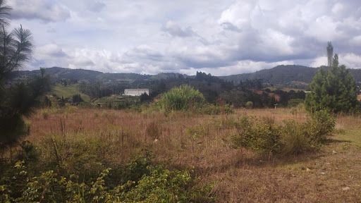 Lote en venta Antioquia Guarne Santo Tomás 14600 m2 Habitaciones 0 Baños 0 Garajes 0 Precio $18750000000