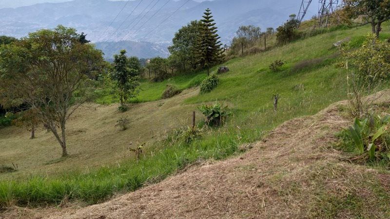 Lote en venta Antioquia Medellín Santa Rosa De Lima 2774 m2 Habitaciones 0 Baños 0 Garajes 0 Precio $290000000