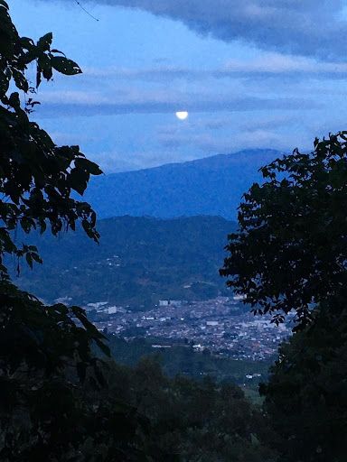 Lote en venta Risaralda Dosquebradas Dosquebradas 10000 m2 Habitaciones 0 Baños 10 Garajes 1 Precio $1050000000