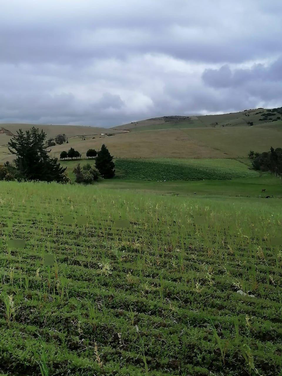 Finca en venta Cundinamarca Suesca Suesca 20 m2 Habitaciones 0 Baños 10 Garajes 1 Precio $820000000