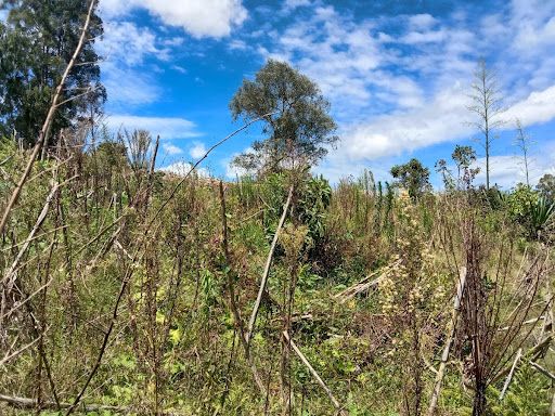 Finca en venta Antioquia San Vicente Vereda El Coral 100 m2 Habitaciones 3 Baños 0 Garajes 1 Precio $2000000000