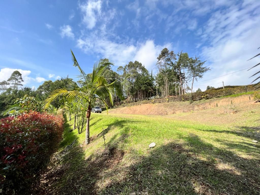 Lote en venta Antioquia El Carmen De Viboral El Carmen De Viboral 1685 m2 Habitaciones 0 Baños 0 Garajes 0 Precio $520000000