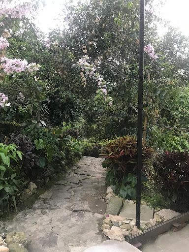 Finca en venta Cundinamarca La Mesa La Mesa 195 m2 Habitaciones 3 Baños 2 Garajes 1 Precio $380000000