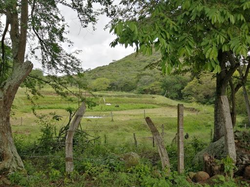 Finca en venta Huila Baraya Baraya 190 m2 Habitaciones 3 Baños 4 Garajes 1 Precio $950000000