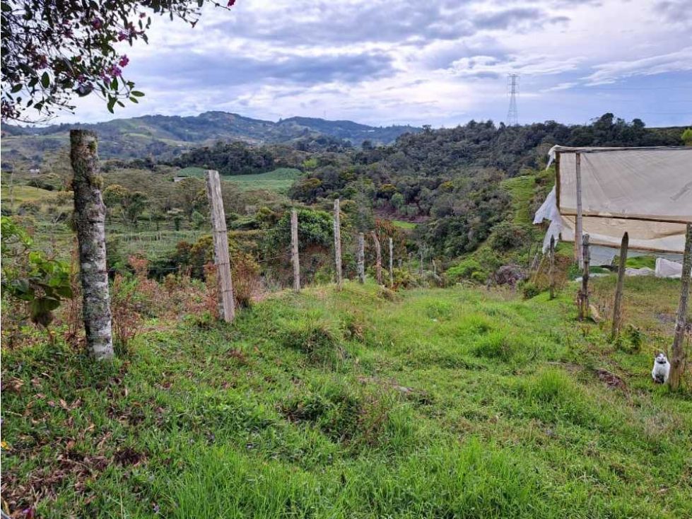 Lote en venta Antioquia El Santuario La Chapa 35000 m2 Habitaciones 0 Baños 10 Garajes 1 Precio $1100000000