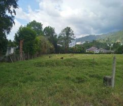 Lote en venta Santander Piedecuesta Piedecuesta 0 m2 Habitaciones 0 Baños 10 Garajes 1 Precio $5600000000