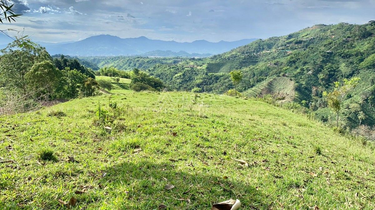 Lote en venta Risaralda Pereira Pereira 0 m2 Habitaciones 0 Baños 10 Garajes 1 Precio $2700000000