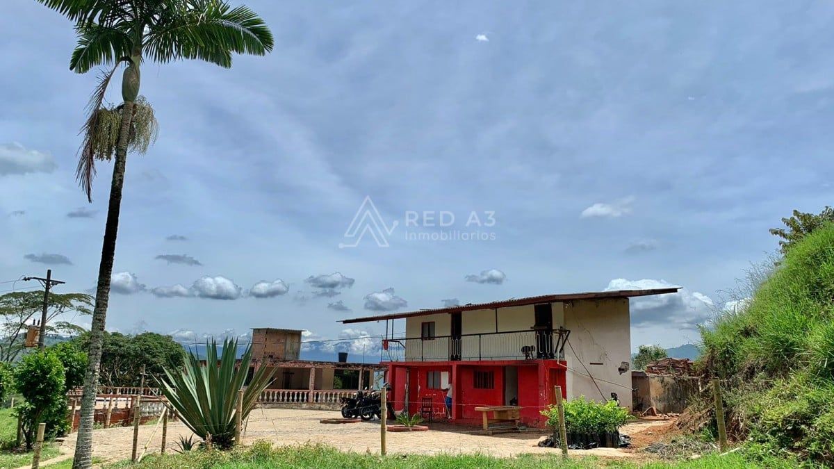Finca en venta Risaralda Pereira Pereira 50000 m2 Habitaciones 3 Baños 1 Garajes 1 Precio $650000000