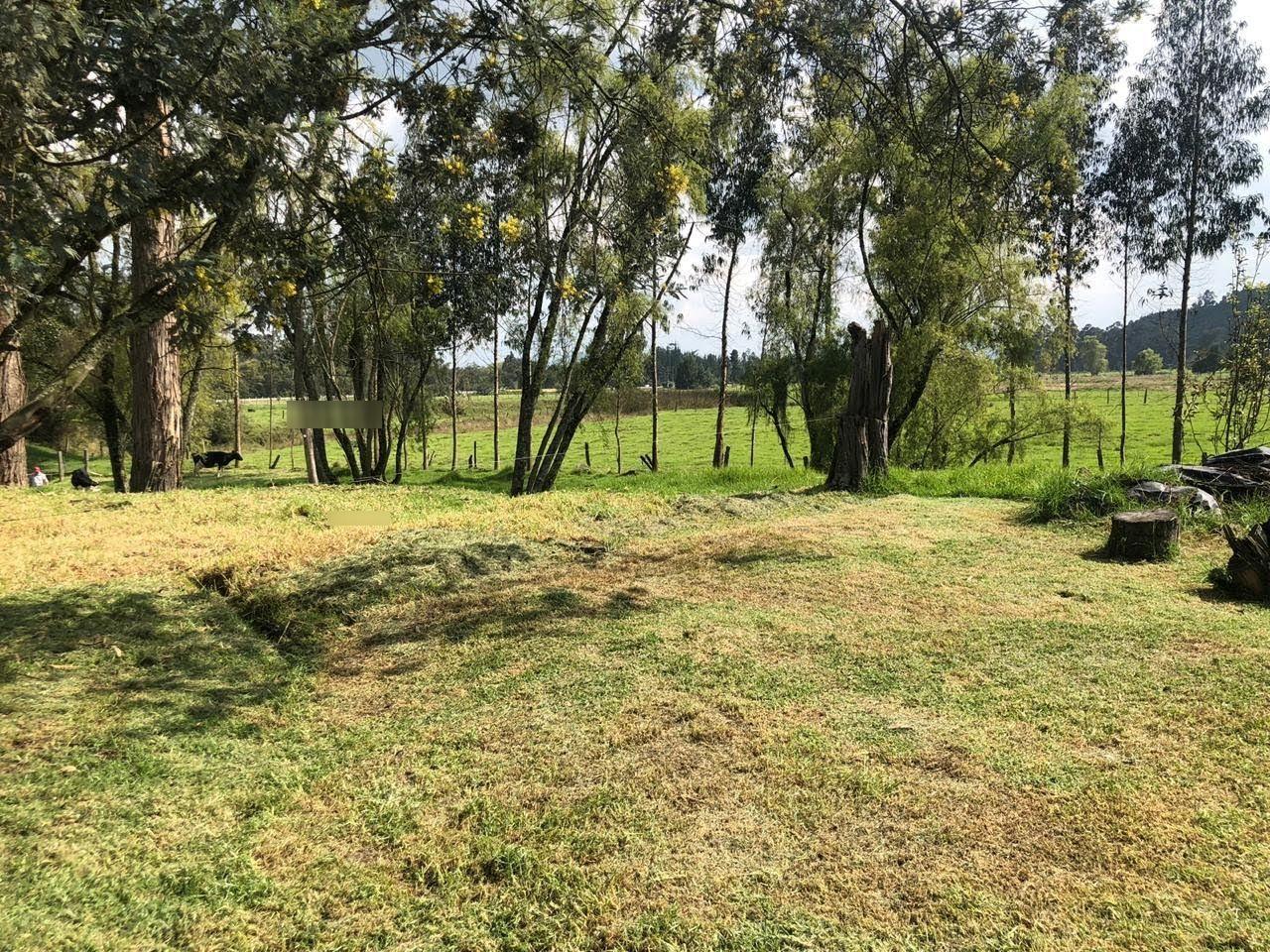 Finca en venta Cundinamarca Cogua Cogua 220 m2 Habitaciones 4 Baños 4 Garajes 2 Precio $1100000000