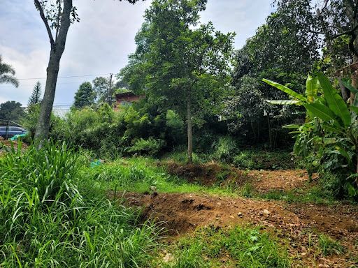 Lote en venta Antioquia Envigado El Salado 820 m2 Habitaciones 0 Baños 0 Garajes 0 Precio $650000000