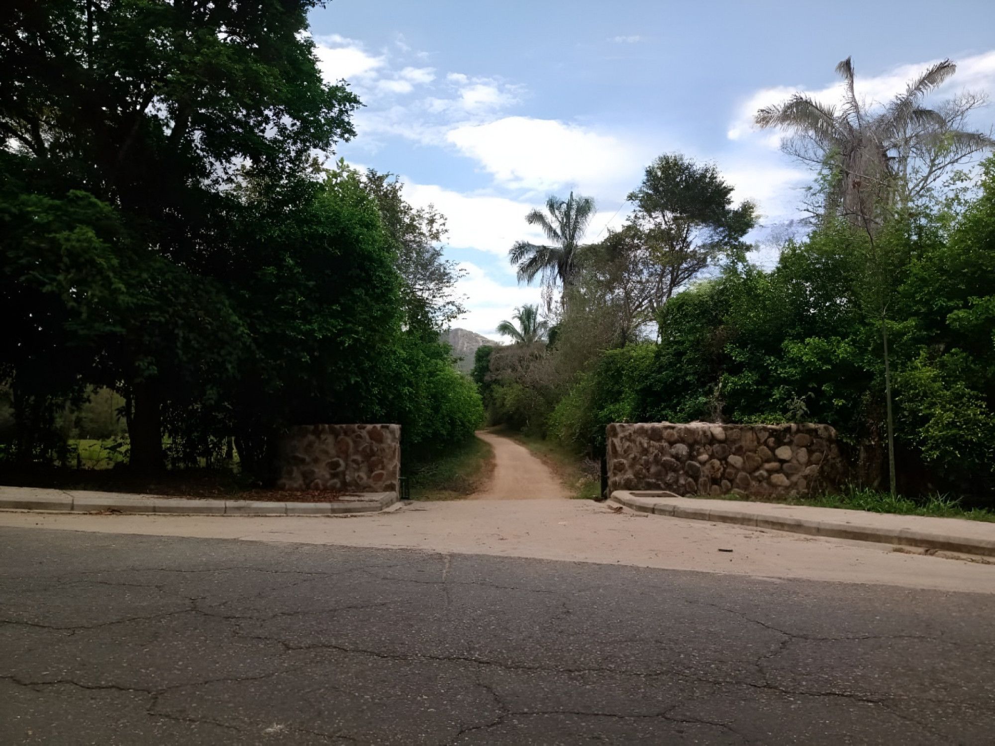 Lote en venta Cundinamarca Nilo Nilo 10074 m2 Habitaciones 0 Baños 0 Garajes 0 Precio $705300000