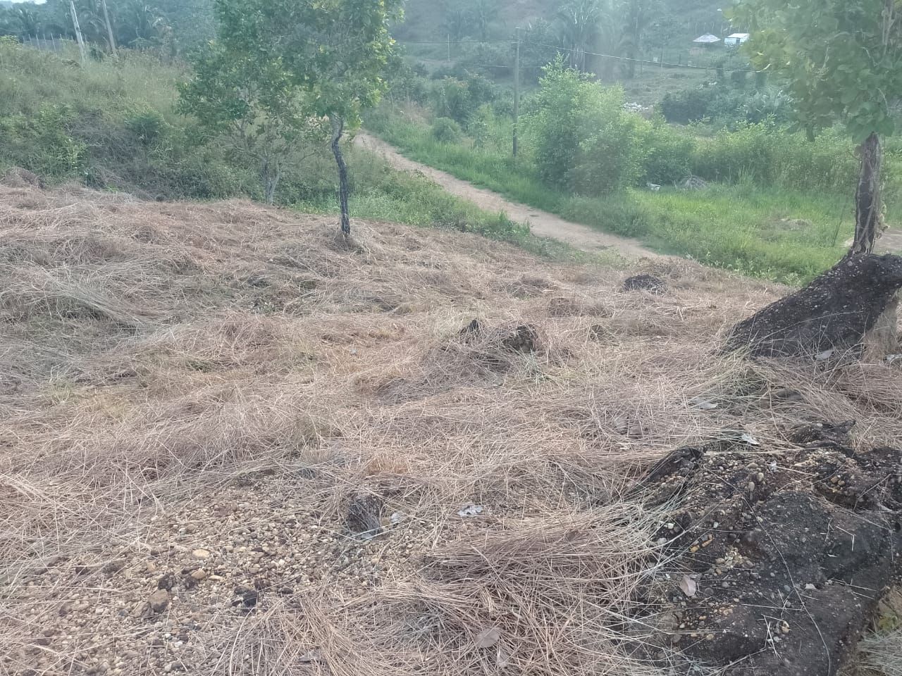 Lote Rural en venta Tolima Melgar Melgar 0 m2 Habitaciones 0 Baños 10 Garajes 1 Precio $80000000