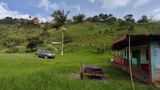 Finca en venta Risaralda Pereira Pereira 16200 m2 Habitaciones 4 Baños 0 Garajes 4 Precio $450000000