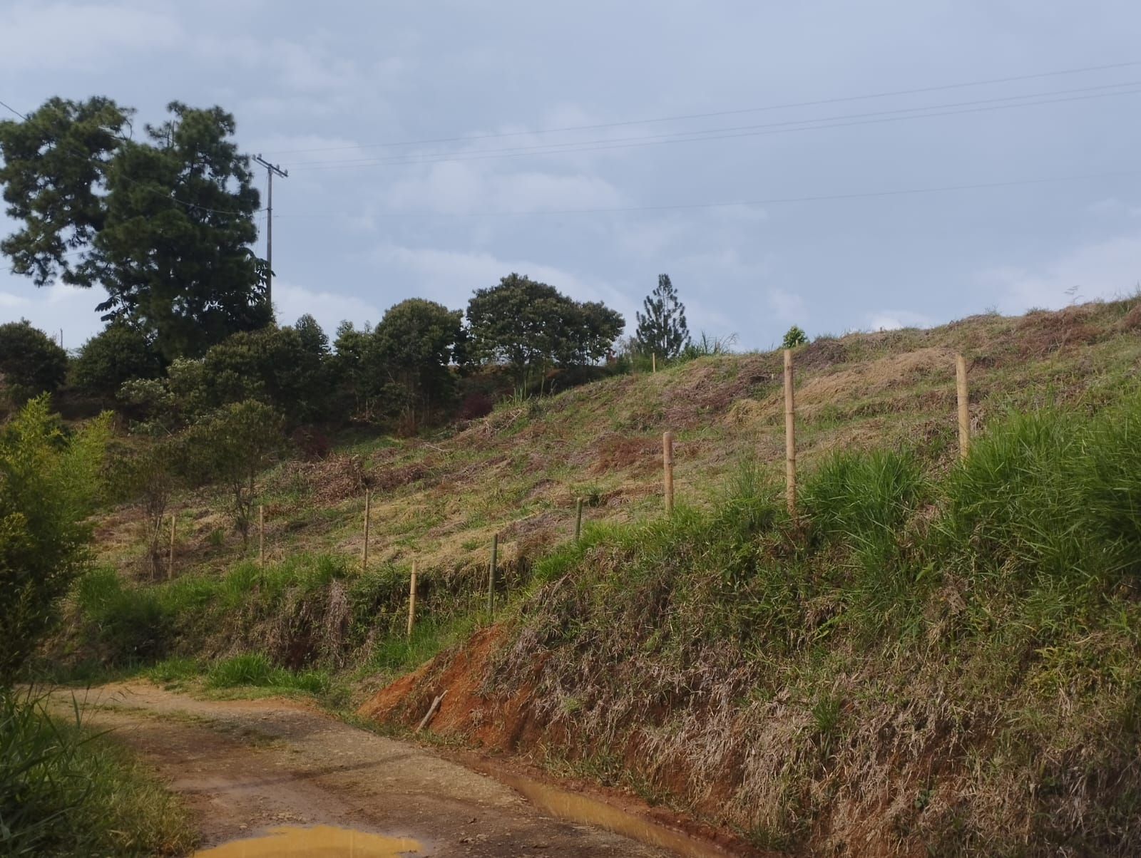 Lote Rural en venta Valle Del Cauca Jamundí Jamundí 3000 m2 Habitaciones 0 Baños 10 Garajes 1 Precio $135000000