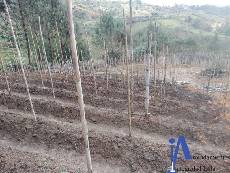Lote en venta Antioquia San Vicente San Vicente De Ferrer 3500 m2 Habitaciones 0 Baños 0 Garajes 0 Precio $220000000
