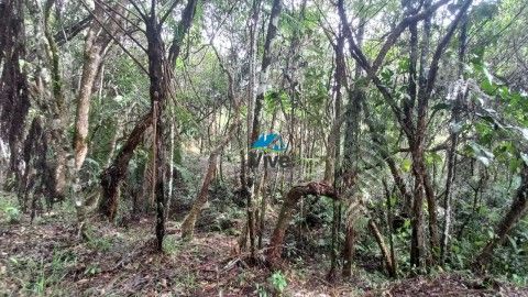 Lote Rural en venta Antioquia Guarne Guarne 0 m2 Habitaciones 0 Baños 10 Garajes 1 Precio $1000000000