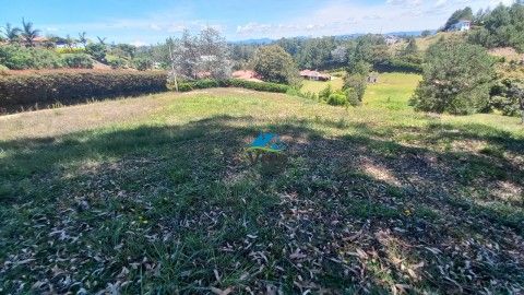 Lote en venta Antioquia Rionegro Centro 0 m2 Habitaciones 0 Baños 10 Garajes 1 Precio $550000000