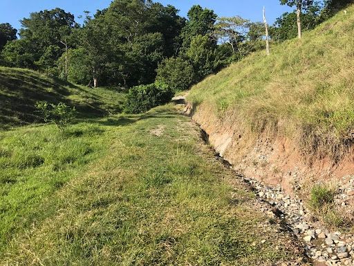 Lote en venta Antioquia Sonson Sonson 13170 m2 Habitaciones 0 Baños 10 Garajes 1 Precio $329250000