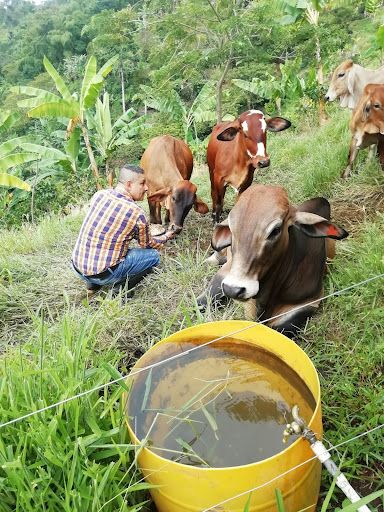 Finca en venta Risaralda Marsella Marsella 60 m2 Habitaciones 3 Baños 0 Garajes 8 Precio $360000000