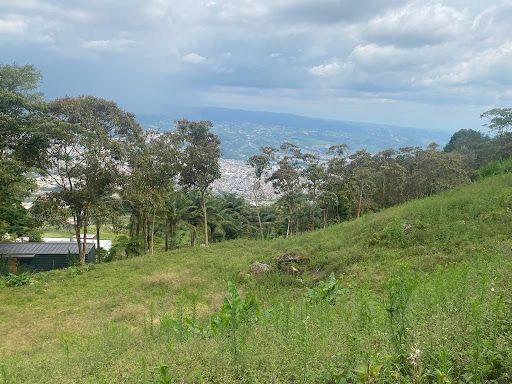 Lote en venta Risaralda Dosquebradas Campestre A 10200 m2 Habitaciones 0 Baños 10 Garajes 2 Precio $700000000