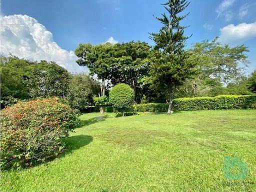 Lote en venta Valle Del Cauca Cali Parcelaciones Pance 1 m2 Habitaciones 0 Baños 0 Garajes 0 Precio $8250000000