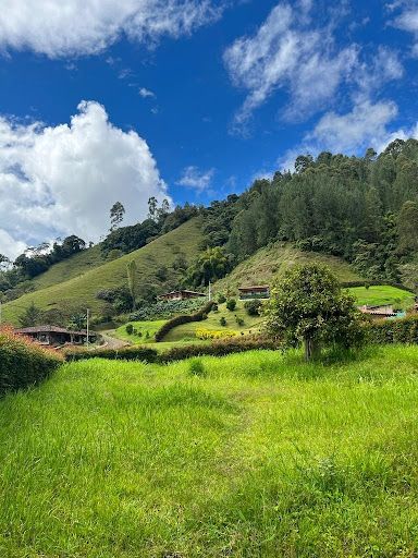 Lote en venta Antioquia Jardín Otros 600 m2 Habitaciones 0 Baños 10 Garajes 1 Precio $254000000